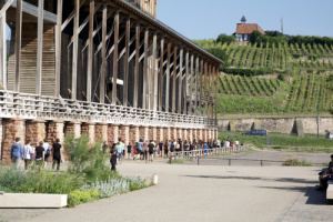 Run for help 2017/18